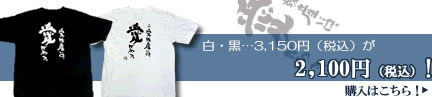 Tシャツ